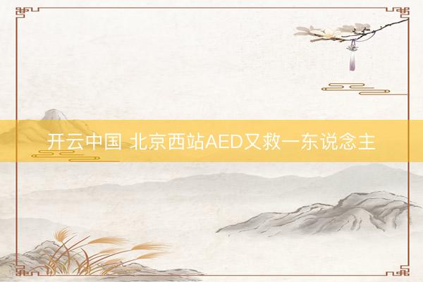 开云中国 北京西站AED又救一东说念主
