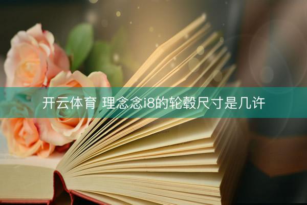 开云体育 理念念i8的轮毂尺寸是几许