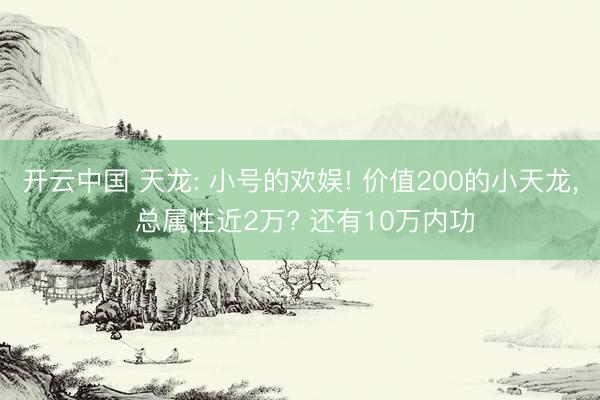 开云中国 天龙: 小号的欢娱! 价值200的小天龙， 总属性近2万? 还有10万内功