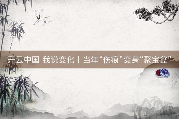 开云中国 我说变化丨当年“伤痕”变身“聚宝盆”