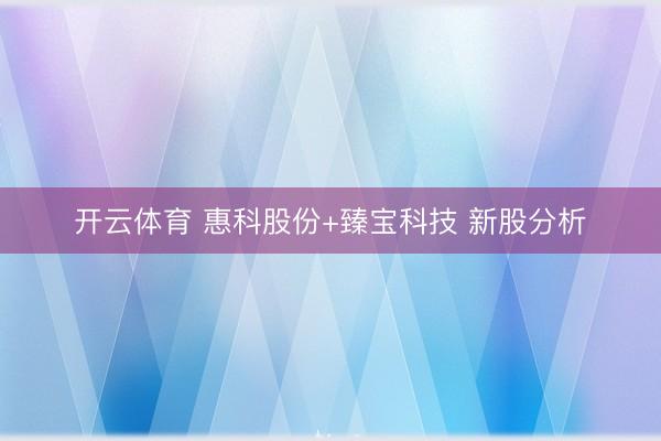 开云体育 惠科股份+臻宝科技 新股分析