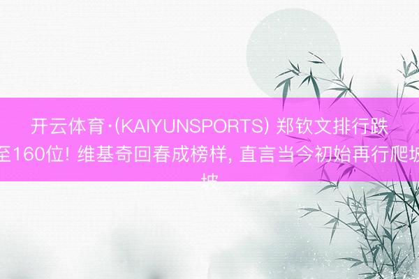 开云体育·(KAIYUNSPORTS) 郑钦文排行跌至160位! 维基奇回春成榜样， 直言当今初始再行爬坡